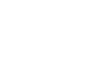 DOXNET Logo.